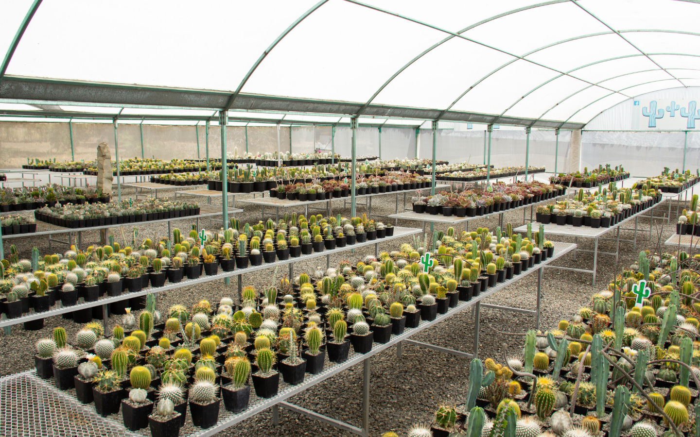 Cactibiosfera Slider 1